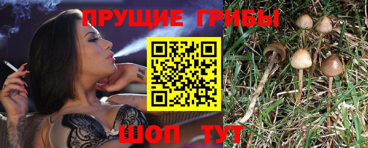 Галлюциногенные грибы Magic Shrooms Буйнакск