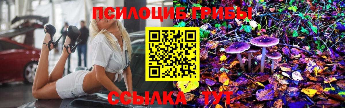 Галлюциногенные грибы Magic Shrooms  Вход с VPN  Буйнакск 